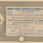 Consorzio Agrario Cooperativo della Provincia di Verona-1