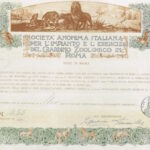 Italiana per l’Impianto e l’Esercizio del Giardino Zoologico in Roma S.A.-1