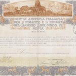 Italiana per l’Impianto e l’Esercizio del Giardino Zoologico in Roma S.A.-2