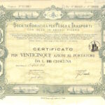 Adriatica per Pesca e Trasporti Soc.-3