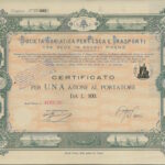 Adriatica per Pesca e Trasporti Soc.-5