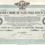Aziende Chimiche Nazionali Associate-1