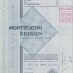 Montecatini Edison-5