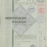 Montecatini Edison-10