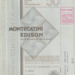 Montecatini Edison-8