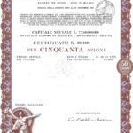 Ceramica Italiana Richard-Ginori S.p.A.-5