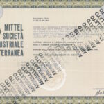 Strade Ferrate del Mediterraneo Soc. Italiana per le-71