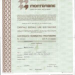 Montefibre Gruppo Montedison-3