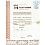 Montefibre Gruppo Montedison-5