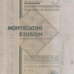 Montecatini Edison-14