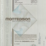 Montecatini Edison-18