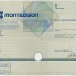 Montedison-9
