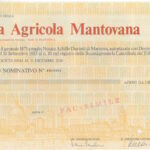 Banca Agricola Mantovana-3