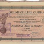 Cotonificio Luigi Candiani-1