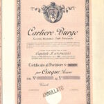Cartiere Burgo S.A. – Verzuolo-1