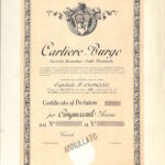 Cartiere Burgo S.A. – Verzuolo-2