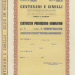 C & Z Centenari & Zinelli S.A. Fabbricaz. Tessuti Elastici-4