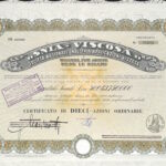 Snia-Viscosa – Soc. Naz. Industria Applicazioni Viscosa-5