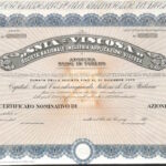 Snia-Viscosa – Soc. Naz. Industria Applicazioni Viscosa-1