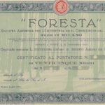 Foresta – S.A. Industria Commercio del Legname-3
