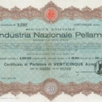 Industria Nazionale Pellami-1