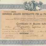 Consorzio Agrario Cooperativo per la Provincia di Cremona-2