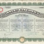 Snia-Viscosa – Soc. Naz. Industria Applicazioni Viscosa-8