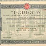 Foresta – S.A. Industria Commercio del Legname-2