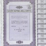 Elettrica della Campania Soc.-4