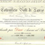Cotonificio Valli di Lanzo-5