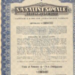Saline Somale S.A.-2