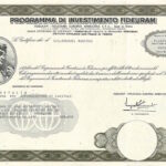 Programma di Investimento Fideuram-1