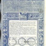 Banca Italiana di Sconto Soc. An. con Sede in Roma-7