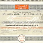 Italiana dell’Acqua Minerale delle Ferrarelle Soc.-3