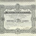 Industrie Agricole Soc. An. Coop. per la fabb. dell’Olio Solforato e per la dist. delle vinaccie-1