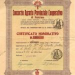 Consorzio Agrario Provinciale Cooperativo di Palermo-2