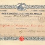 Industriale Elettrica del Mugello Soc.-2