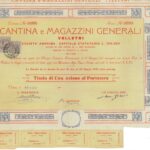 Cantina e Magazzini Generali – Velletri-1