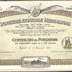 Industrie Aviatorie Meridionali-1