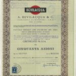 A. Bevilacqua & C. – Conserve Alimentari S.p.A.-2