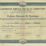 Cooperativa Agricola fra gli ex Combattenti di Ronciglione-1