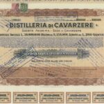 Distilleria di Cavarzere-13