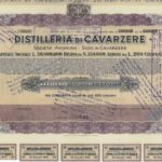 Distilleria di Cavarzere-12
