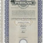 Pibigas-3