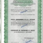 Mediterranea – Raffineria Siciliana Petroli S.p.A.-3