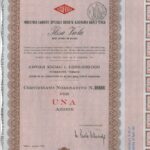 ILSSA Viola – Industria Lamiere Speciali S. A. Carlo Viola-1