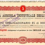 Agricola Industriale degli Alcoli Soc.-1