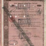 Strade Ferrate Meridionali Soc. It. per le (Reg. Decr. 10/09/1889)-1