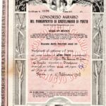 CONSORZIO AGRARIO DEL MANDAMENTO DI CASTELNUOVO DI PORTO-1