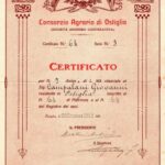 CONSORZIO AGRARIO DI OSTIGLIA-2